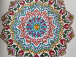 whatsapp bild 2023-07-18 um 12.36.29